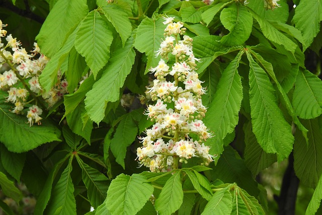 Jaka matura na Oxford? Jaka matura na Oxford?