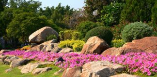 Na jaki format konwertować filmy?