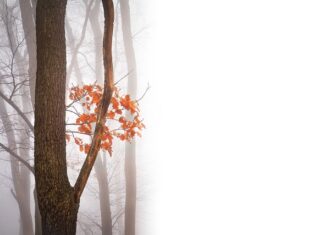 Jakie są negatywne strony konfliktu? Jakie są negatywne strony konfliktu?