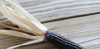 Z jakich etapów powinna składać się profesjonalnie przygotowana selekcja?