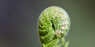 Dlaczego warto się rozwijać?