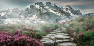 Co jest kolejnym krokiem w procesie rozwiązywania problemów po identyfikacji problemu?