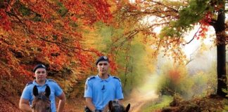 Jak czegoś nie żałować?