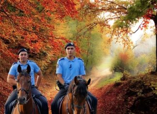 Jak czegoś nie żałować?