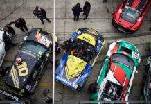 Ile z pitu na żonę?