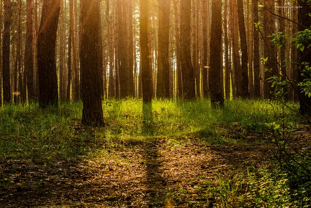 Co najbardziej cieszy rodziców? Co najbardziej cieszy rodziców?