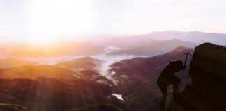 Jak sprawdzić ile mam zapłacić podatku?