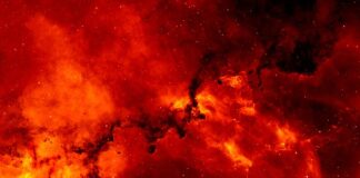 Jak dostać się do służb specjalnych?