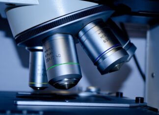 Jak dostać się na studia w Niemczech? Jak dostać się na studia w Niemczech?