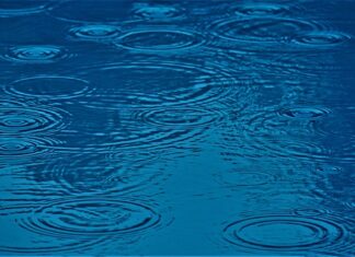 Co ma wpływ na podejmowanie decyzji?