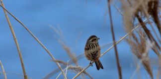 Jak szukać rozwiązań?