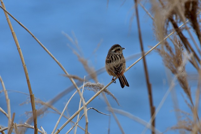 Jak szukać rozwiązań? Jak szukać rozwiązań?