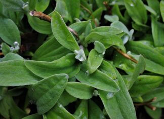 Jak pogodzić zespół?