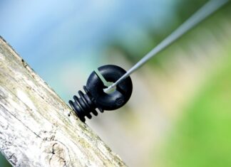 Ile Polaków studiuję za granicą? Ile Polaków studiuję za granicą?