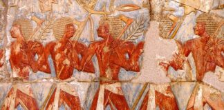 Ile może zarobić dziecko żeby nie stracić ulgi 2023?