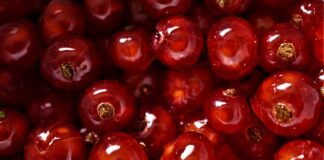 Jak dobrze sobie coś wyobrazić?