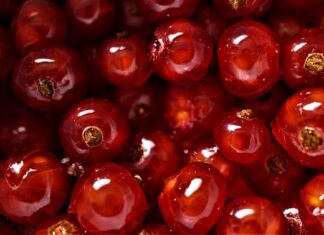 Jak dobrze sobie coś wyobrazić?