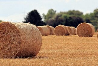 Jaka jest rola inteligencji? Jaka jest rola inteligencji?