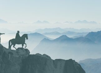 Co to jest kampania pla?