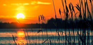 Jakie instrumenty są najczęściej wykorzystywane w promocji?