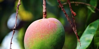 W jakim wieku jest się dojrzałym emocjonalnie?