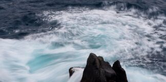 W jakim formacie zapisać animacje?