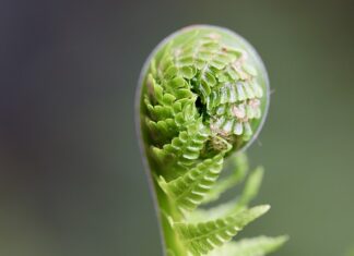Po co rozwijać wyobraźnię?