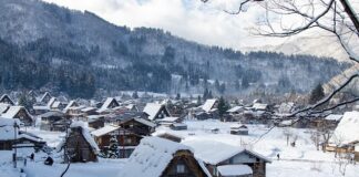 Jak zrobić gif w PS?