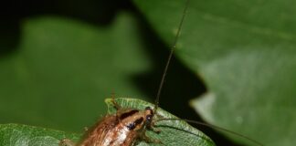 Jak panować nad sobą?