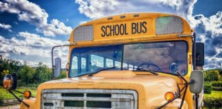 Jak promować swoje produkty?