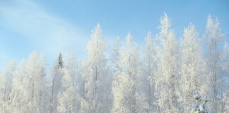 Czy minus 6 to duża wada?