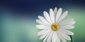 Co założyć na białą sukienkę?