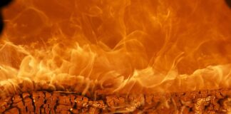 Czy Tommy Hilfiger to marka premium?